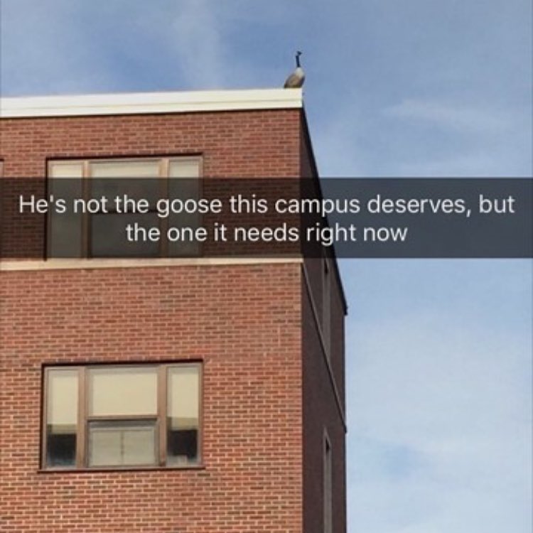 menshumor-bkbtwzwain9